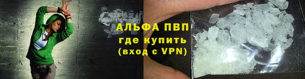 стаф Володарск
