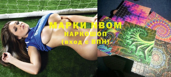 стаф Володарск