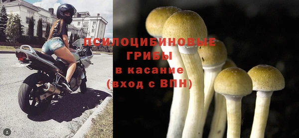 таблы Верея